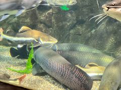 -太平洋海底世界