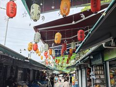 -东兴口岸-中越友谊大桥