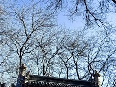 -北京国子监胡同