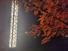 -天目湖涵田度假村
