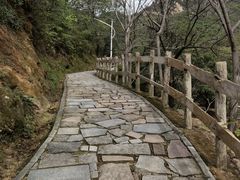 -大岭沟猕猴桃谷风景区