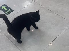 -中农大我爱我爱动物医院·核磁CT·猫病·24小时夜诊中心(石佛营店)