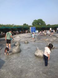 点击看大图 -季高兔窝窝亲子园(上海薰衣草公园店)