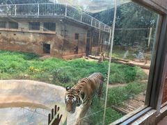 -昆明动物园