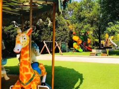 -卓悦童国际幼儿园