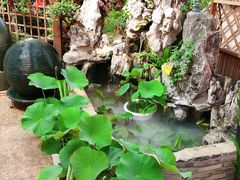 -双季花艺园艺市场(浦东店)