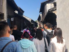 -乌镇东栅景区
