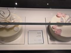 -BLACKSWAN黑天鹅(环球店)
