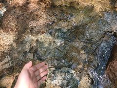 -牛背梁国家森林公园