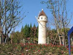 -东平国家森林公园