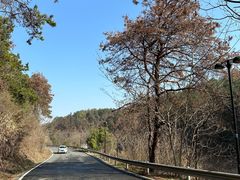 -青龙山国家森林公园