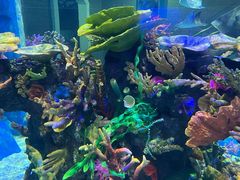 -成都浩海立方海洋公园