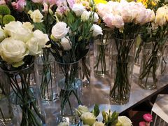 -花未央花店·WEYOUNG