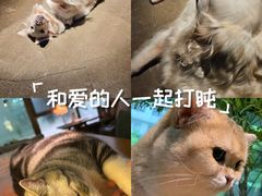 -咖法森林·咖啡  酒吧(天河店)