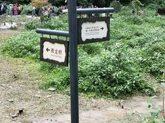 -武隆天坑地缝国家地质公园