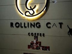 -滚猫咖啡·猫咖·猫友好撸猫(未来城店)