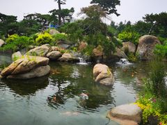 -罗红摄影艺术馆