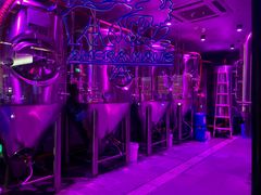 -Ambra Haus琥珀屋精酿餐厅(宝山店)