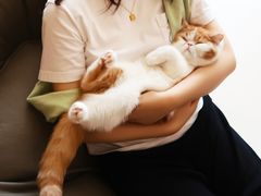 -飞行喵MR PILOT|猫舍·猫咖(静安大融城店)