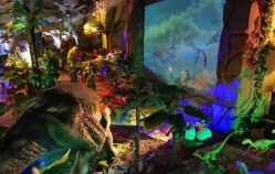 点击看大图 -恐龙探索乐园(磁器口店)