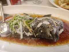 -骏莱海鲜鱼港(五角场店)
