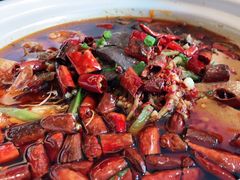 极品毛血旺-辣婆婆(航天桥店)