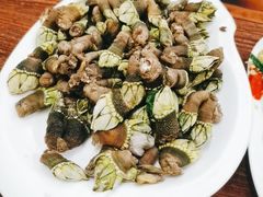 -四季美蚝皇