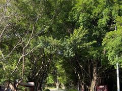 -宝盖山风景区-停车场