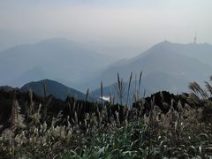 -梧桐山风景名胜区