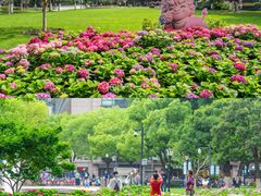-常州古运河南大街文化旅游区-人民公园