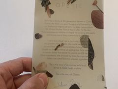 -Odette