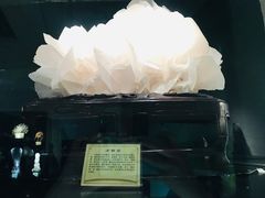-东方山水乐园山之王国(全室内)