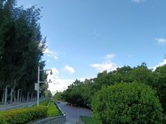 -宝安西湾红树林湿地公园