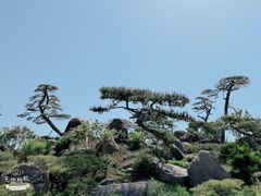 -罗红摄影艺术馆