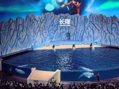 -珠海长隆海洋王国