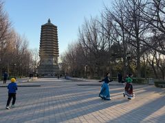 -玲珑塔公园