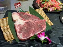 -杨小佳·齐齐哈尔烤肉·烤串(广州店)