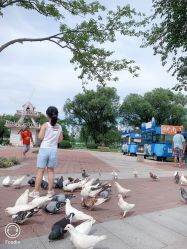 点击看大图 -玄武湖景区-情侣园游乐场