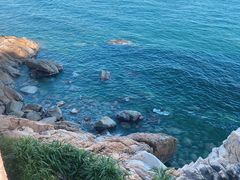-广东惠东海龟国家级自然保护区
