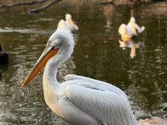 -济南野生动物世界