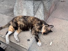 -长春观