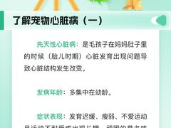 -瑞派申生动物医院·24H夜诊·国际动物医疗中心·骨外科(吴中路店)