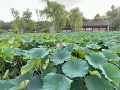-承德避暑山庄景区