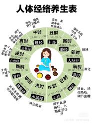 -香薇妮丝女子减肥院