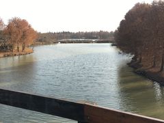 -上海海湾国家森林公园