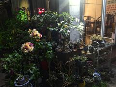 -安琪盲人按摩调理草本熏蒸馆(风和日丽店)