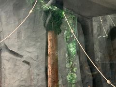-武汉动物园