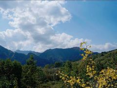 -光雾山旅游景区