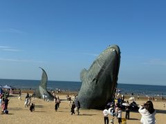 -赶海儿海鲜镖局·平价海鲜小馆(金沙滩店)