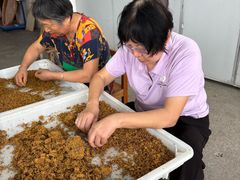 -苏州市吴中区光福窑上花果蜜饯厂
